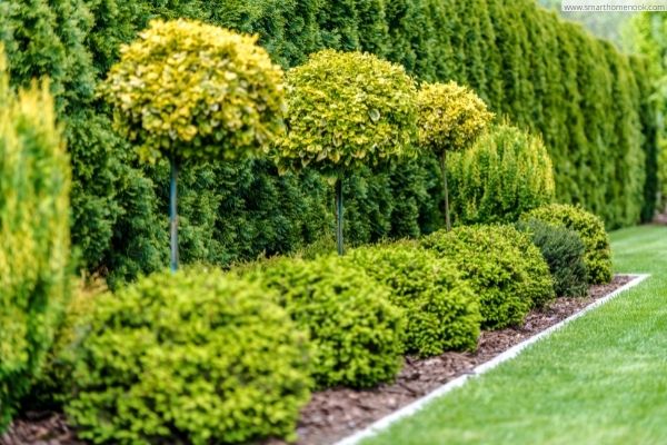 Installing barriers, trees, and tall shrubs